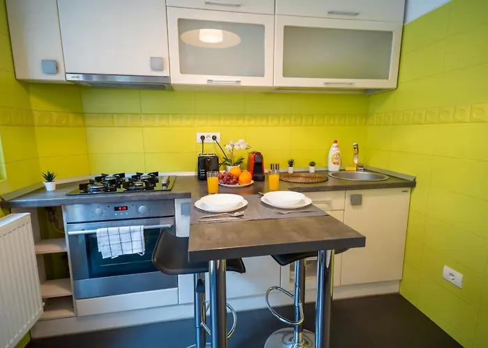 Cozy & Spacious Flat Near Victoriei Square Apartment *